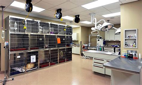 About Our Veterinary Hospital .